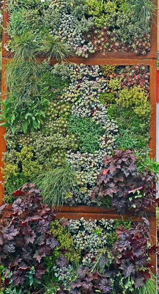 Ett Vertikalt Exempel Botanisk Livsmiljö Framtida Trädgård Stockbild