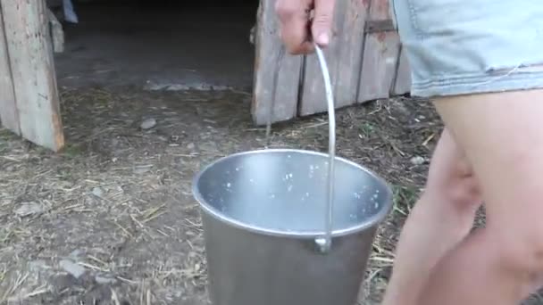 Frische Milch. hd — Stockvideo