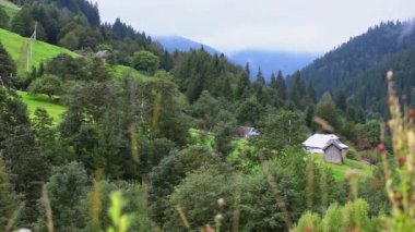 Dağların panoramik manzarası