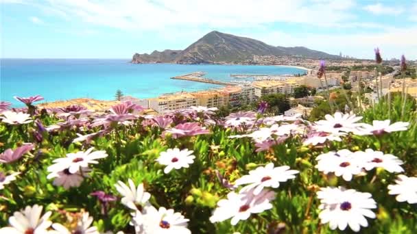 Gyönyörű kilátás nyílik a La Laguna, Spanyolország — Stock videók