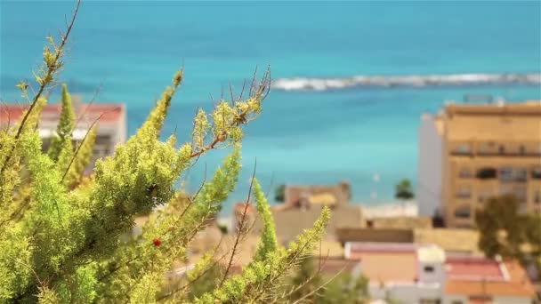 アルテアの海岸の美しい種類 — ストック動画