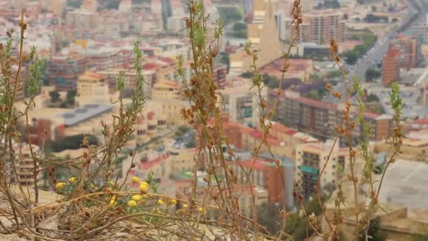 Schöne Aussicht auf den alicante. costa blanca — Stockvideo