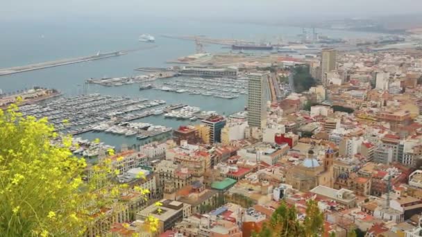 Port of Alicante with sea views — Stock Video