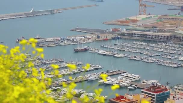 Port w Alicante z widokiem na morze — Wideo stockowe