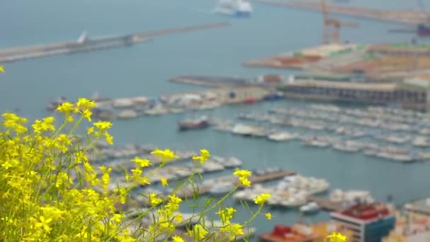 Port of Alicante dengan pemandangan laut — Stok Video