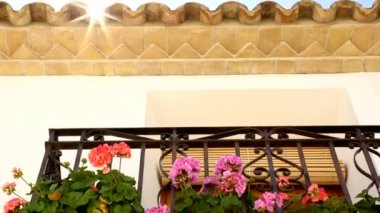 Güneş ışınları ile çiçekli güzel balkon