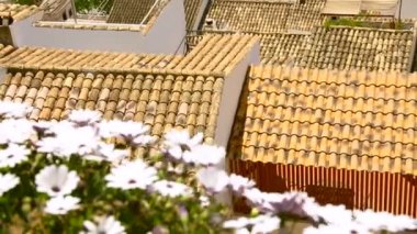 Beyaz çiçekler balkonda karıştırma