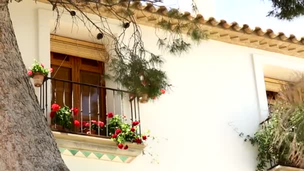 Hermosa ventana con flores rojas. España, Altea — Vídeos de Stock