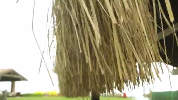 Thatched guarda-chuvas na praia — Vídeo de Stock