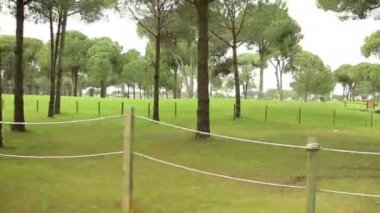 Güzel golf sahası. Kamerayı hareket