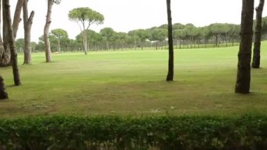 Güzel golf sahası. Kamerayı hareket