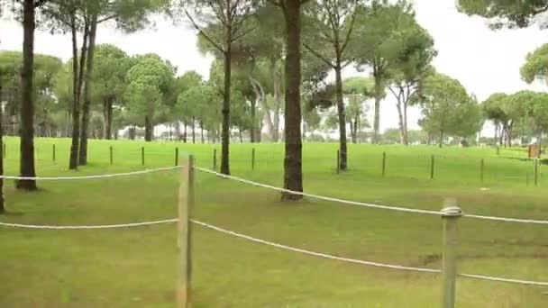 Hermoso campo de golf. La cámara en movimiento — Vídeo de stock