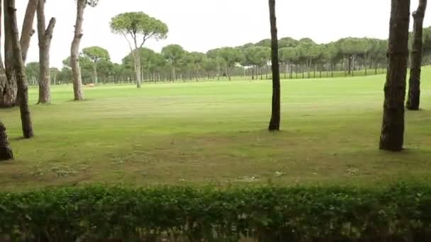 Beau terrain de golf. La caméra en mouvement 