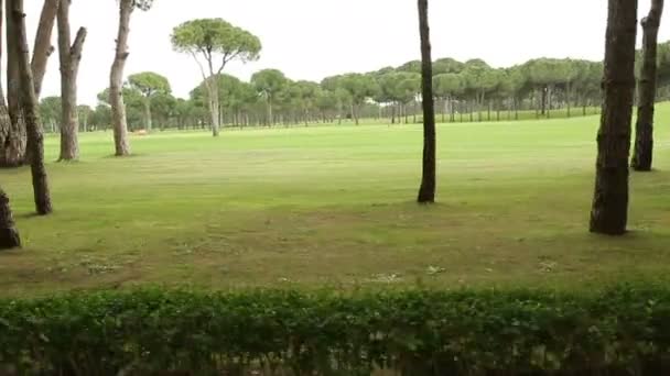 Bellissimo campo da golf. La fotocamera in movimento — Video Stock