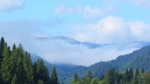 Nebbia sulle montagne, i Carpazi. Ucraina — Video Stock