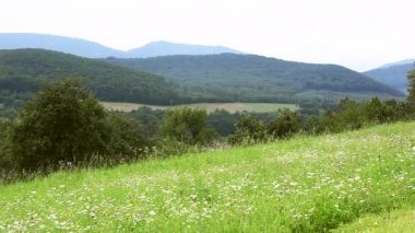 Dağlar zemin üzerine yeşil çayır