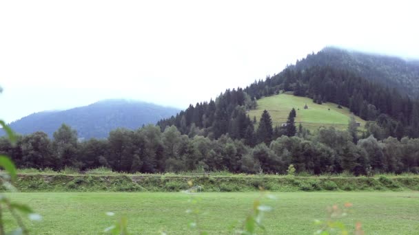 Nevoeiro sobre as montanhas dos Cárpatos — Vídeo de Stock