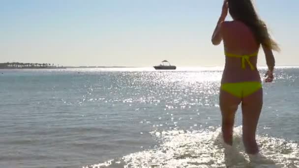 Chica sexy mira a la distancia el mar. HD — Vídeo de stock