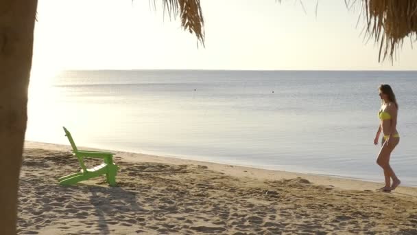 Σέξι νεαρή γυναίκα sunbathes σε μια ξαπλώστρα. HD — Αρχείο Βίντεο