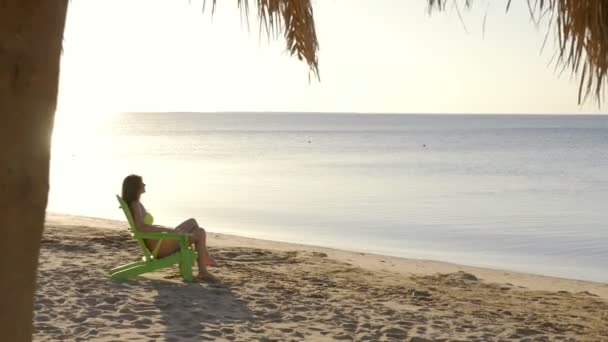 Sexy jonge vrouw sunbathes op een ligstoel. HD — Stockvideo