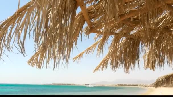 Морской пейзаж с соломенным зонтиком. 4K — стоковое видео