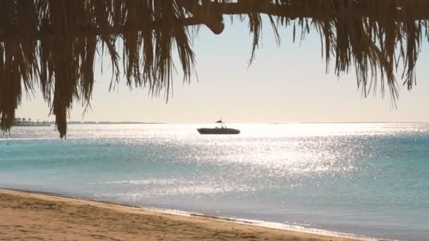 Tropikal plaj üzerinde şaşırtıcı günbatımı. 4k — Stok video
