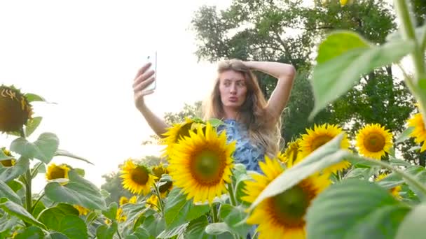 Attraente modello ragazza fa selfie vicino girasoli. HD — Video Stock