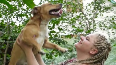 Kız bir köpek ellerinde tutar. HD