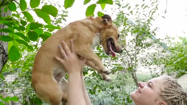 Menina com temido segura em mãos um cão. HD — Vídeo de Stock