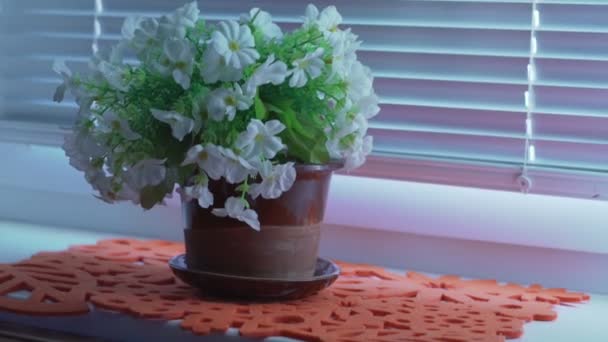 花瓶中的花朵，窗台上有白色开口铝制快门窗滚筒 — 图库视频影像