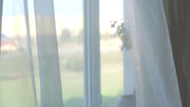 Transparent silk white textile curtain covered open window with house plant — Stock Video