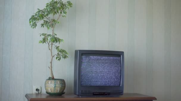 アナログ信号の悪い古いテレビはポットの観葉植物と木製のテーブルの上に立つ — ストック動画