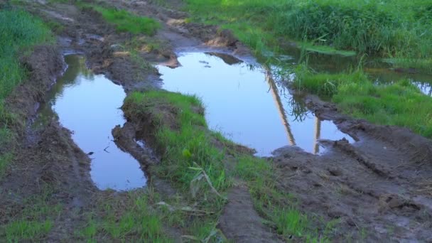 Água lamacenta na poça na estrada de campo na estação de tempo da primavera — Vídeo de Stock