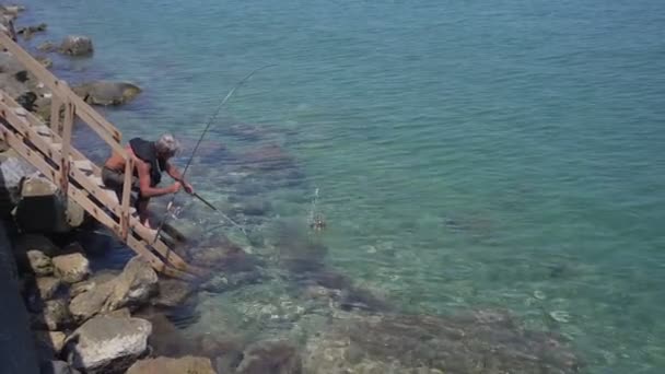 Pescador de pelo gris de mediana edad que toma pulpo del agua de mar en el día de verano. — Vídeo de stock