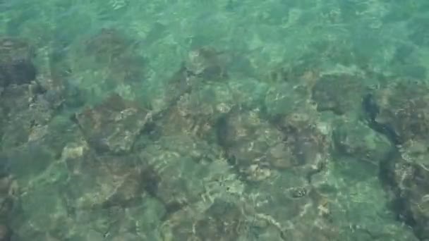 Текстурований природний візерунок прозорої поверхні морської води з камінням на дні . — стокове відео