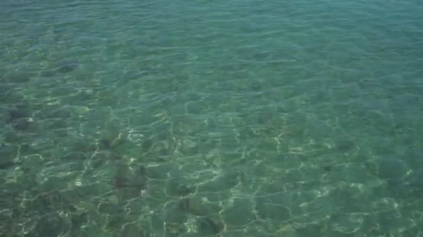 Eau de mer turquoise propre et calme avec motif ondulé vue de dessus. — Video