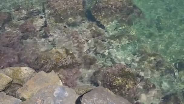 Pulire acqua di mare trasparente che scorre vicino alla costa con grandi pietre grigie — Video Stock