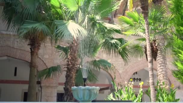 Fresh clear water flowing from luxury fountain on backyard of palace — Stok Video