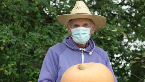 Senior vrolijke boer in beschermende gezichtsmasker en hoed toont grote pompoen. — Stockvideo