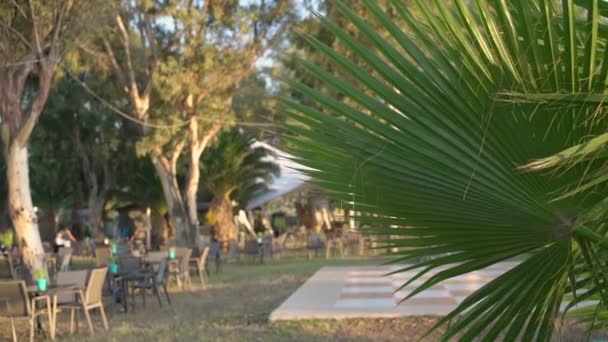 Empty street cafe in summer day during coronavirus pandemic. — Vídeo de stock