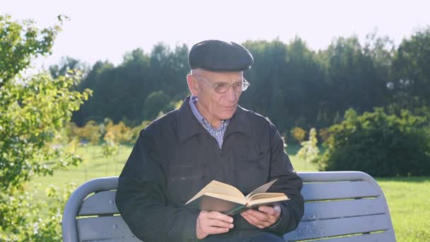 목격자 의연로 한 남자가 의자에 앉아 책을 읽고 있다. — 비디오