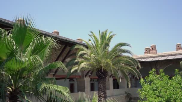 Palme wächst im Garten eines Luxus-Hauses unter klarem blauen Himmel. — Stockvideo