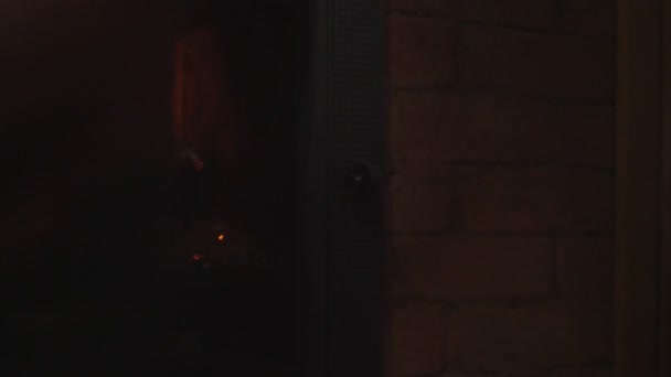 Homme main ouverture porte cheminée en verre et l'ajout de bûche en bois intérieur. — Video