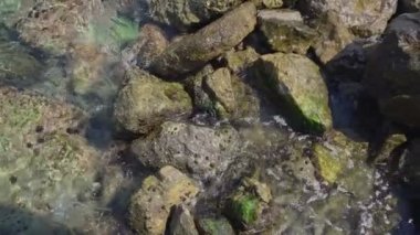 Deniz dalgası büyük bir taşla kırıldı ve kıyı şeridinde köpük oluşturdu.