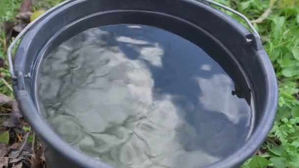 Blauwe lucht en witte wolken weerspiegeld in wateroppervlak in plastic emmer — Stockvideo