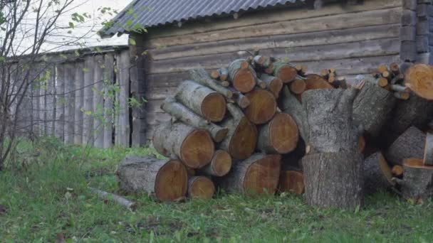 Large dry woods pile lies on grass by country log barn — Stock Video