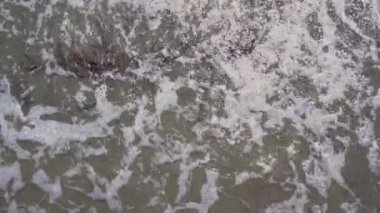 Dalgalar kıyıda yuvarlanır Gri kirli kumsallı çimenli