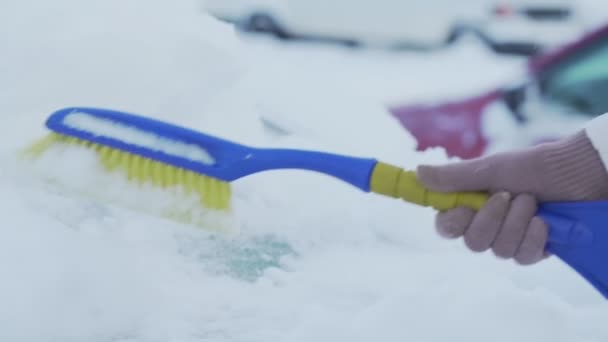 La persona in giacca invernale e guanti asciuga la neve grossa da auto — Video Stock
