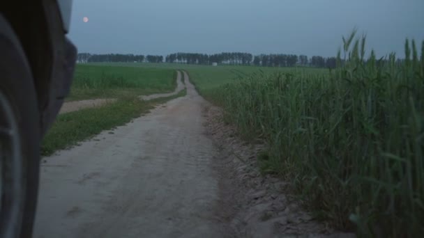 Rueda de coche rueda a lo largo de camino de tierra a lo largo de campo de trigo verde — Vídeos de Stock