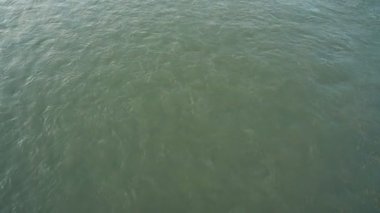 Büyük bir dağ nehri yolunda akan hızlı çamurlu su akıntısı.
